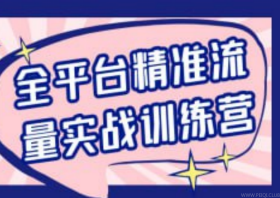 全平台精准流量实战训练营