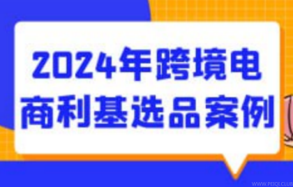 2024年跨境电商利基选品案例